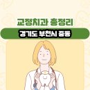 상록다운타운 빌딩 | 경기도 부천시 중동 교정치과 총정리