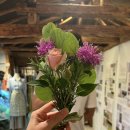 (주)콜로리 | 제주 애월 소품샵 &#39;뚜띠콜로리 뮤제오&#39; and 구매한 제품 후기.