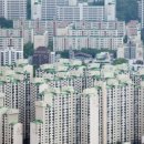 분평점 현대자동차(현대자동차분평점) | 출산하라더니 신생아 대출도 줄였다…신혼부부 ‘한숨’