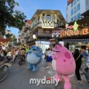베트남한국노래주점 마이데일리