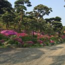 공간꽃조경 이미지