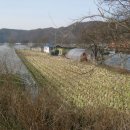 덕례농장 이미지