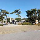 솔뫼성지 소나무 이미지