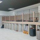 스파렉스 이미지