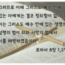 오늘의 묵상-로마서 8장 1절에서 이미지