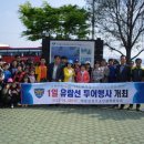 삼천포유람선협회 이미지