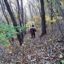 광덕산2로 이미지