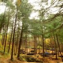 팜스하우스 이미지