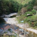 단양소백농협 본점 이미지