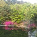 봄빛 민박 이미지