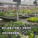 원예종합실험동 화장실 | 부산 노포동 데팡스가든 센터 방문후기