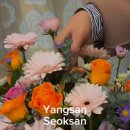 우리꽃도매