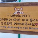 LOVING PET 이미지