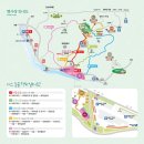 3월 15일(일) 정기산행 봄맞이 광양 매화마을과 구례 산수유마을 트레킹 이미지