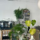 중앙1로56번길 이미지