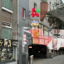 하나투어 동유럽 패키지 4일차 빈(비엔나), 비포선라이즈 촬영지(야경 스팟), 빈 비엔나 음악회 후기