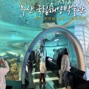세종동_국립어린이박물관(임시) | 부산 아이랑 가볼만한곳 실내 무료전시 아쿠아리움 영도 국립해양박물관