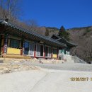 호구산 백련암 티스토리