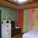 섬진강 솔밭이 보이는 풍경 이미지