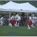 묵호초등학교 이미지