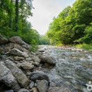 연못들5 이미지