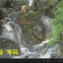 고아산방 이미지