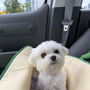 봄봄동물병원 이미지