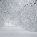 겨울나그네 이미지