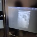 김앤정정형외과의원 이미지