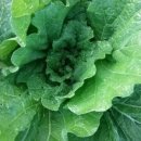 충의농장 이미지