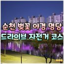 족동천 | 순천 벚꽃 야경 드라이브 코스 실시간 개화 만개 상황