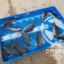 야생화마을펜션민박 이미지