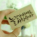 용인대온누리태권도 이미지