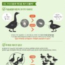 오리덕