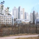 아름동_아름고앞 이미지