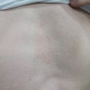 현대제철문화센터최대성한의원 이미지