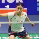 안세영 베드민턴 선수 호주대회 또 우승- 금년만 세계대회 10회 우승 이미지