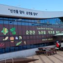 돌산댁 푸드