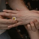 생의찬가 | 돈을 쫓은 내 친구는 돈을 얻었다. 사랑을 쫓은 나는 사랑을 얻을 수 있을까?