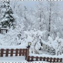 동해펜션민박 이미지