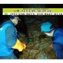 시티환경관리