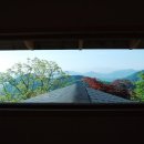 단풍나무펜션민박 이미지