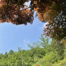 파주더시크릿 | <파주>더시크릿가든,아이랑 가기좋은 캠핑장,커플비추