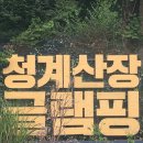 청계신발 | 서울 근교 뚜벅이 생일 여행, 불멍까지 완벽했던 청계산장글램핑 핀란드 카라반 후기