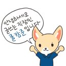 LAHP 카포켓 구매 후기(ft. 차량 내부를 깔끔하게 하는 휴지통 리뷰)