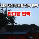 잔디밭민박 이미지