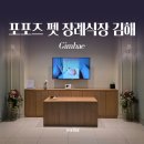 스톤 | 김해 고양이 장례식장 포포즈 펫 장례절차 스톤제작 후기