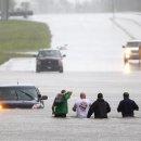 플로렌스 이미지