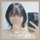 헤어앤숲