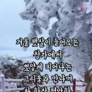 햇살커피
